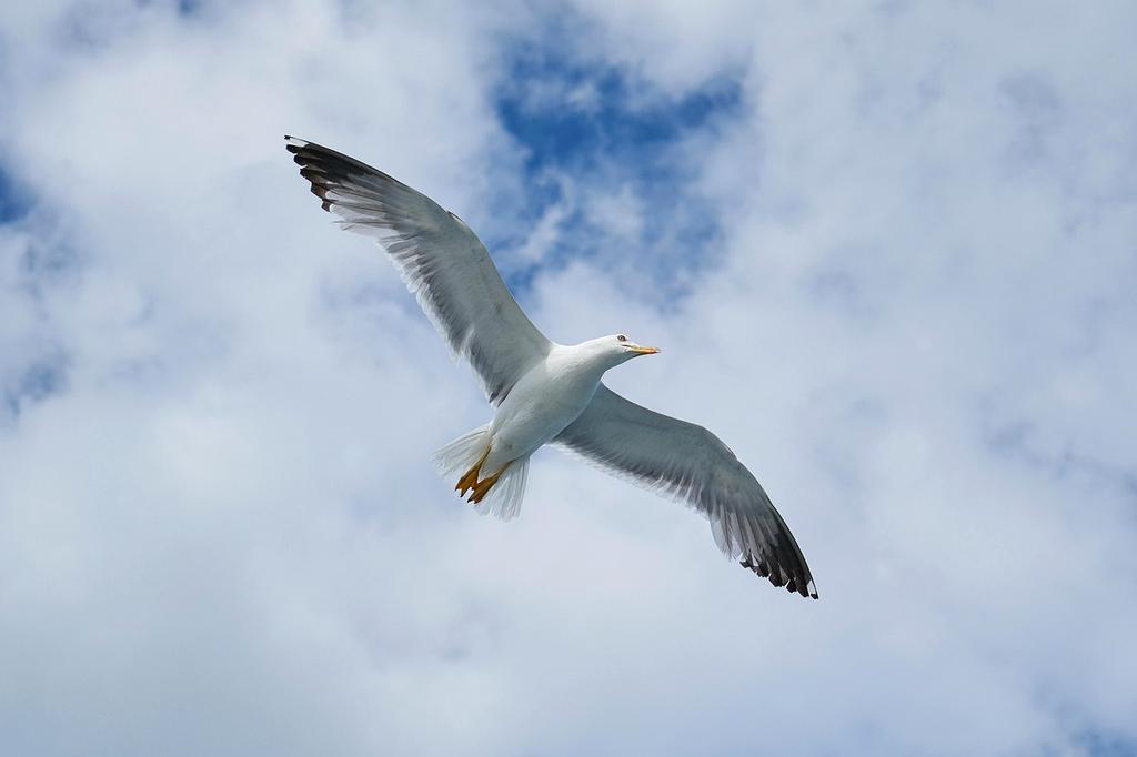 Migracja do chmury w sektorze medycznym - case study